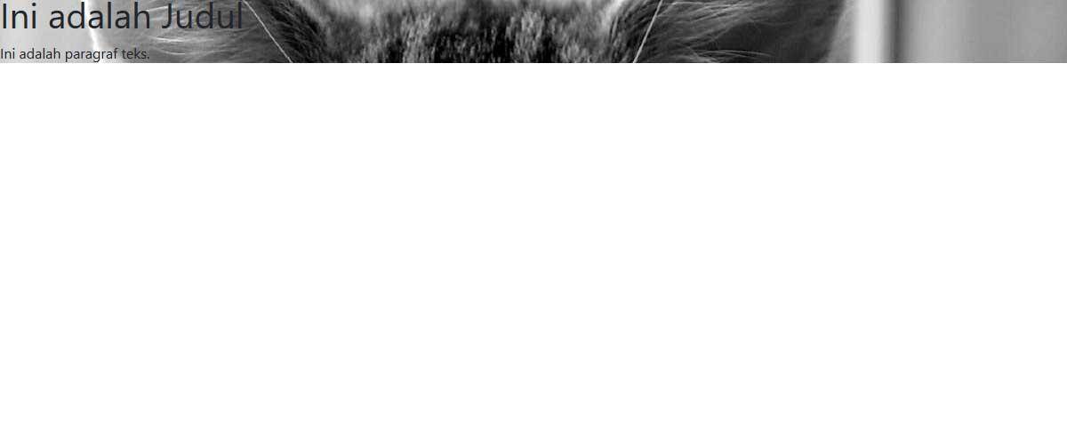 full screen background